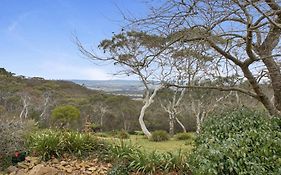 Cecils Chair Blackheath Blue Mountains